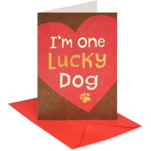 American Greetings Valentines Day Card from Cat (All Nine Lives With You)(Lucky Dog)