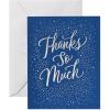 American Greetings Blank Christmas Thank You Cards with Envelopes, Blue and Silver Winter Design (25-Count)