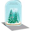 American Greetings Christmas Gift Card Holder and Money Holder Card with Envelope for Cash, Gift Cards, or Checks (You’re Amazing)(Snowglobe)