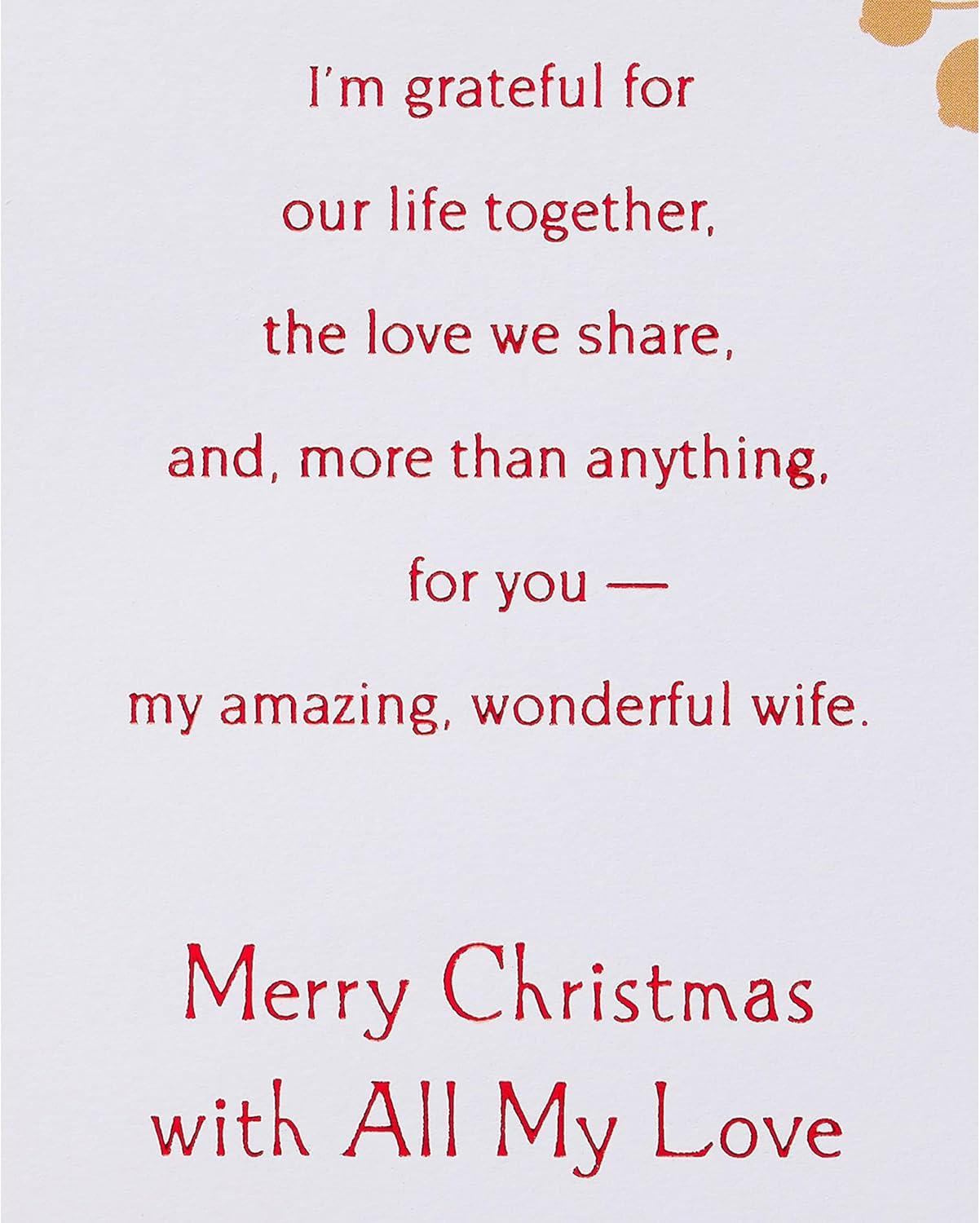 imageAmerican Greetings Christmas Card for Wife Lifes Been So Good
