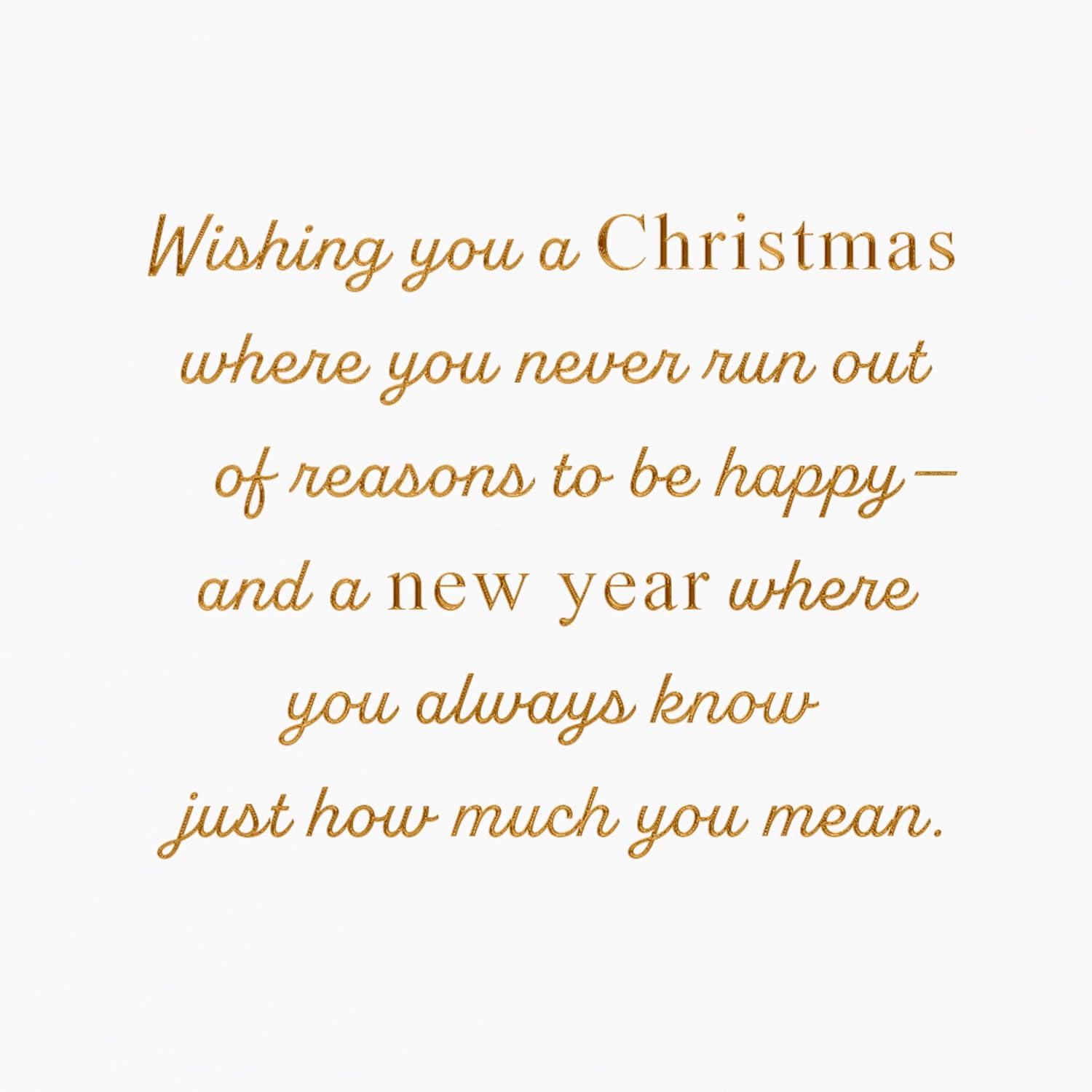 imageAmerican Greetings Merry Christmas Card for Sister and BrotherinLaw How Much You MeanPolar Bears