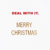 American Greetings Funny Merry Christmas Brother Card (Deal With It)(Youre My Brother LTG)