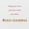 American Greetings Nephew Christmas Card from Uncle or Aunt (How Much You Mean)(Stocking)