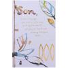 American Greetings Birthday Card for Son (Dear Son)(Not Much Has Changed)