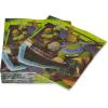 American Greetings Teenage Mutant Ninja Turtle (TMNT) Party Supplies, Paper Lunch Napkins (48-Count)(Paper Lunch Napkins)