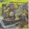 American Greetings Teenage Mutant Ninja Turtle (TMNT) Party Supplies, Paper Lunch Napkins (48-Count)(Paper Lunch Napkins)