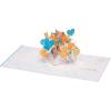 American Greetings Pop Up Graduation Card (Happy Thoughts)(Happy Thoughts)