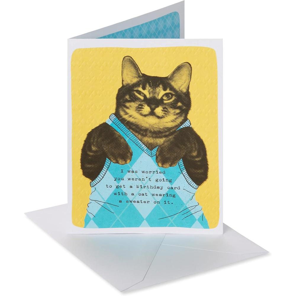 image:imageAmerican Greetings Funny Birthday Card Cat Wearing Argyle SweaterCat Wearing Argyle Sweater