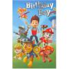 American Greetings Birthday Card for Kids (Big Slice of Fun)(Pj Masks)