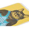 American Greetings Funny Birthday Card (Cat Wearing Argyle Sweater)(Cat Wearing Argyle Sweater)