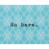 American Greetings Funny Birthday Card (Cat Wearing Argyle Sweater)(Cat Wearing Argyle Sweater)