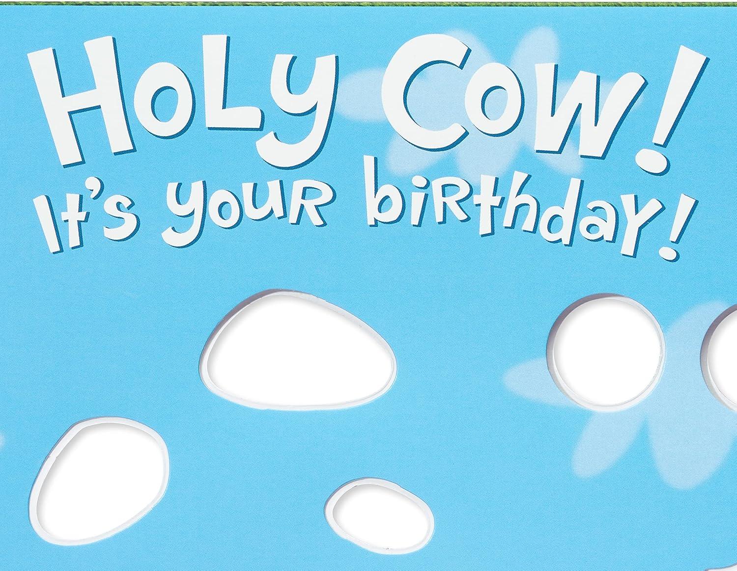 image:imageAmerican Greetings Funny Birthday Card Holy CowCow Birthday Card