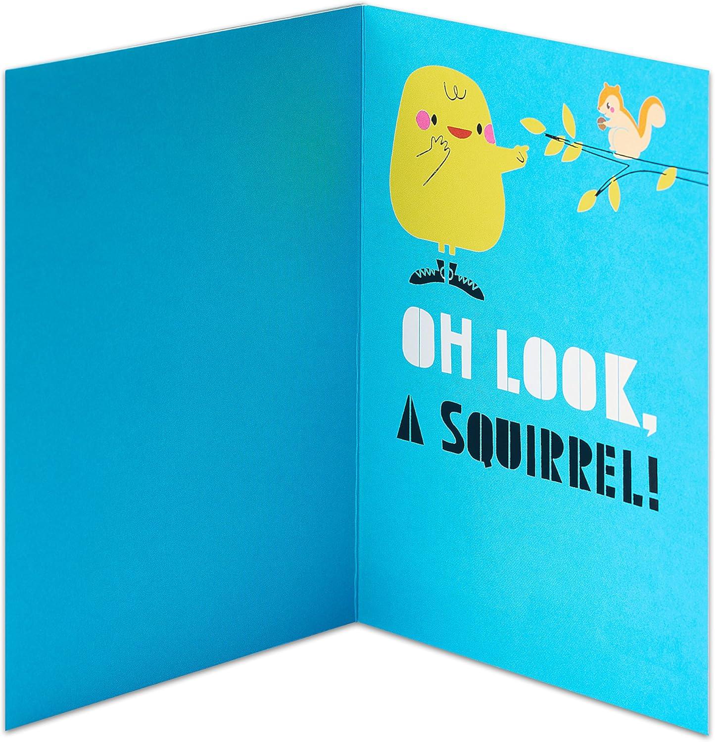image:imageAmerican Greetings Funny Birthday Card Holy CowDistracted Squirrel