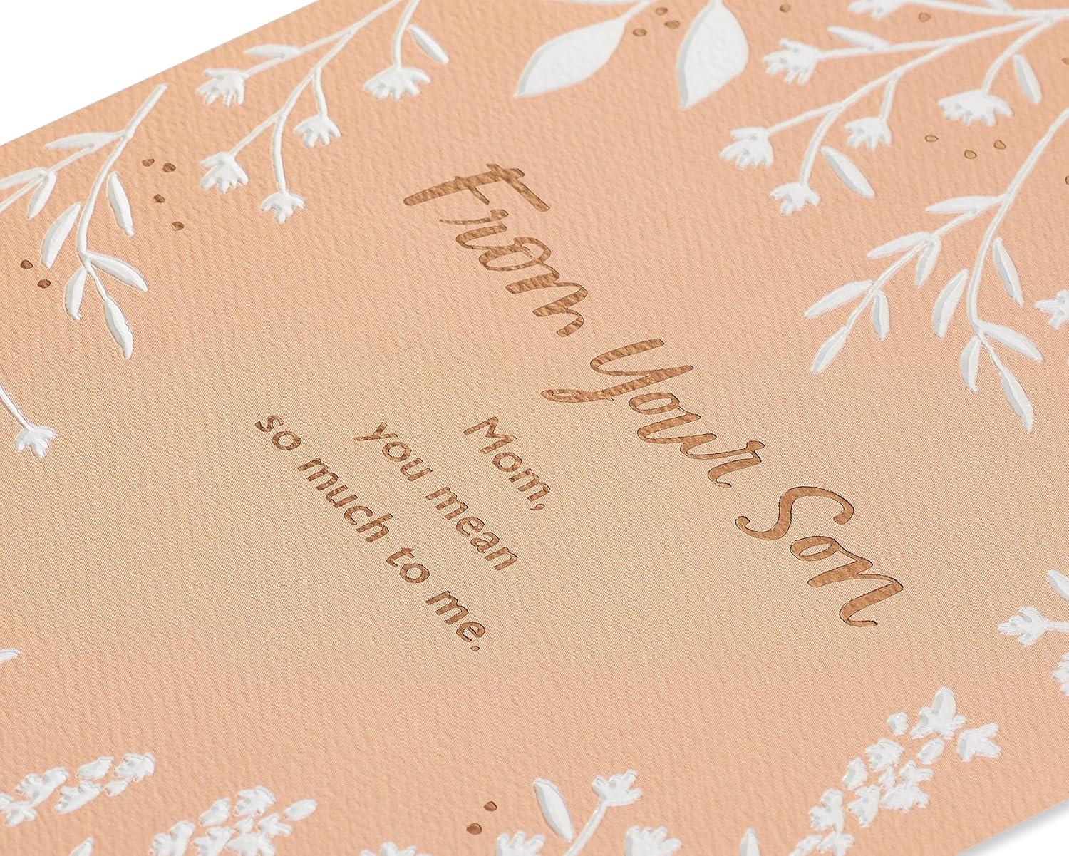 image:imageAmerican Greetings Funny Mothers Day Card from Son InterestingYou Mean So Much to Me