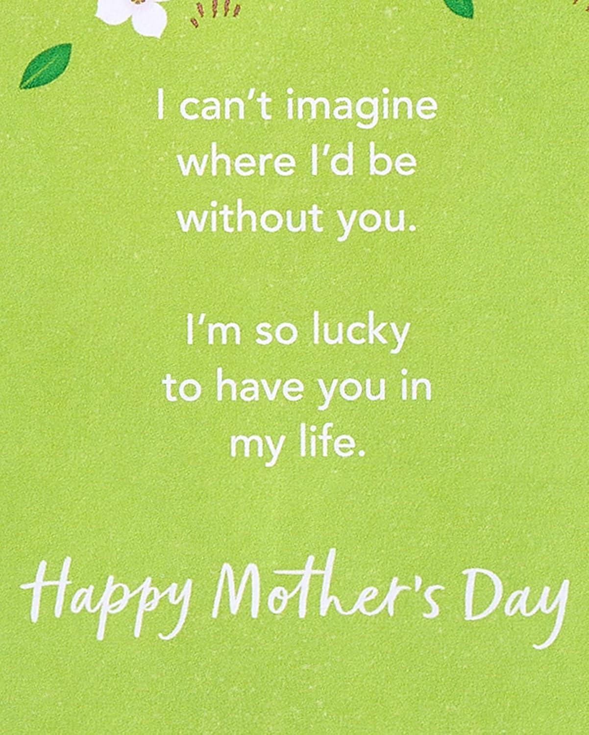 image:imageAmerican Greetings Pop Up Mothers Day Card So Lucky To Have You