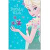 American Greetings Birthday Card for Kids (Frozen, Queen Elsa)(Frozen  Queen Elsa)