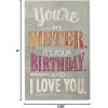 American Greetings Birthday Card for Sister (Deal with It)