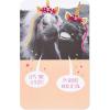 American Greetings Birthday Card for Sister (We’re Sisters)(Picture-Perfect)