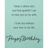American Greetings Birthday Card for Wife (You Make the World a Magical Place)(My Incredible Wife)