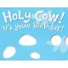 American Greetings Funny Birthday Card (Holy Cow)(Cow Birthday Card)