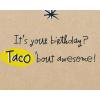 American Greetings Funny Birthday Card (Taco)