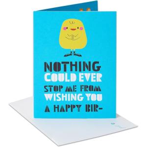American Greetings Funny Birthday Card (Holy Cow)(Distracted Squirrel)