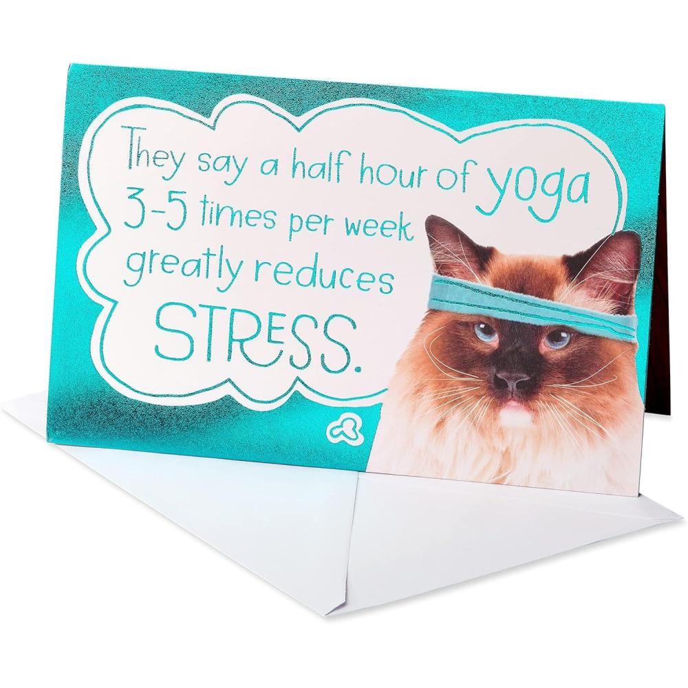 image:imageAmerican Greetings Funny Birthday Card for Women Black and Pink Card for Her Prove Them WrongSo Does Ice Cream