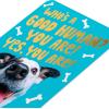American Greetings Silly Dog Birthday Card for Mom or Dad from Puppy, Pet (Birthday Treat)(Good Human From Dog)