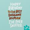 American Greetings Silly Dog Birthday Card for Mom or Dad from Puppy, Pet (Birthday Treat)(I Woof You)