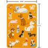 American Greetings Supportive Pride Birthday Card for LGBTQIA+ Friends and Family (Feel All That)(Pride Pets)
