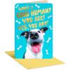 Good Human From Dog