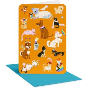 American Greetings Supportive Pride Birthday Card for LGBTQIA+ Friends and Family (Feel All That)(Pride Pets)