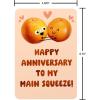 American Greetings Funny Anniversary Card for Wife or Husband (Just Admit It)(Main Squeeze)