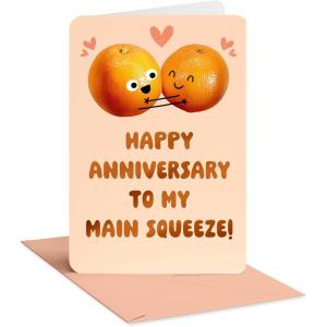 American Greetings Funny Anniversary Card for Wife or Husband (Just Admit It)(Main Squeeze)
