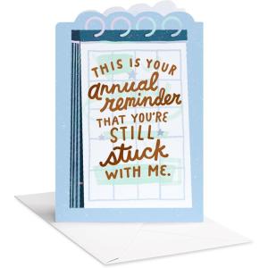 American Greetings Funny Anniversary Card for Wife or Husband (Just Admit It)(Stuck With Me)