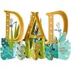 American Greetings Father’s Day Pop Up Card for Dad (Thanks for Being You)