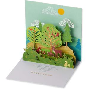 American Greetings Father’s Day Pop Up Card for Dad (Leading by Example)