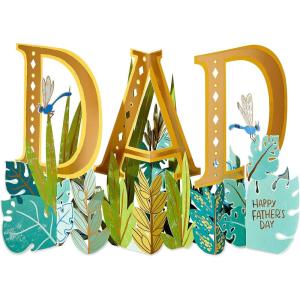 American Greetings Father’s Day Pop Up Card for Dad (Thanks for Being You)