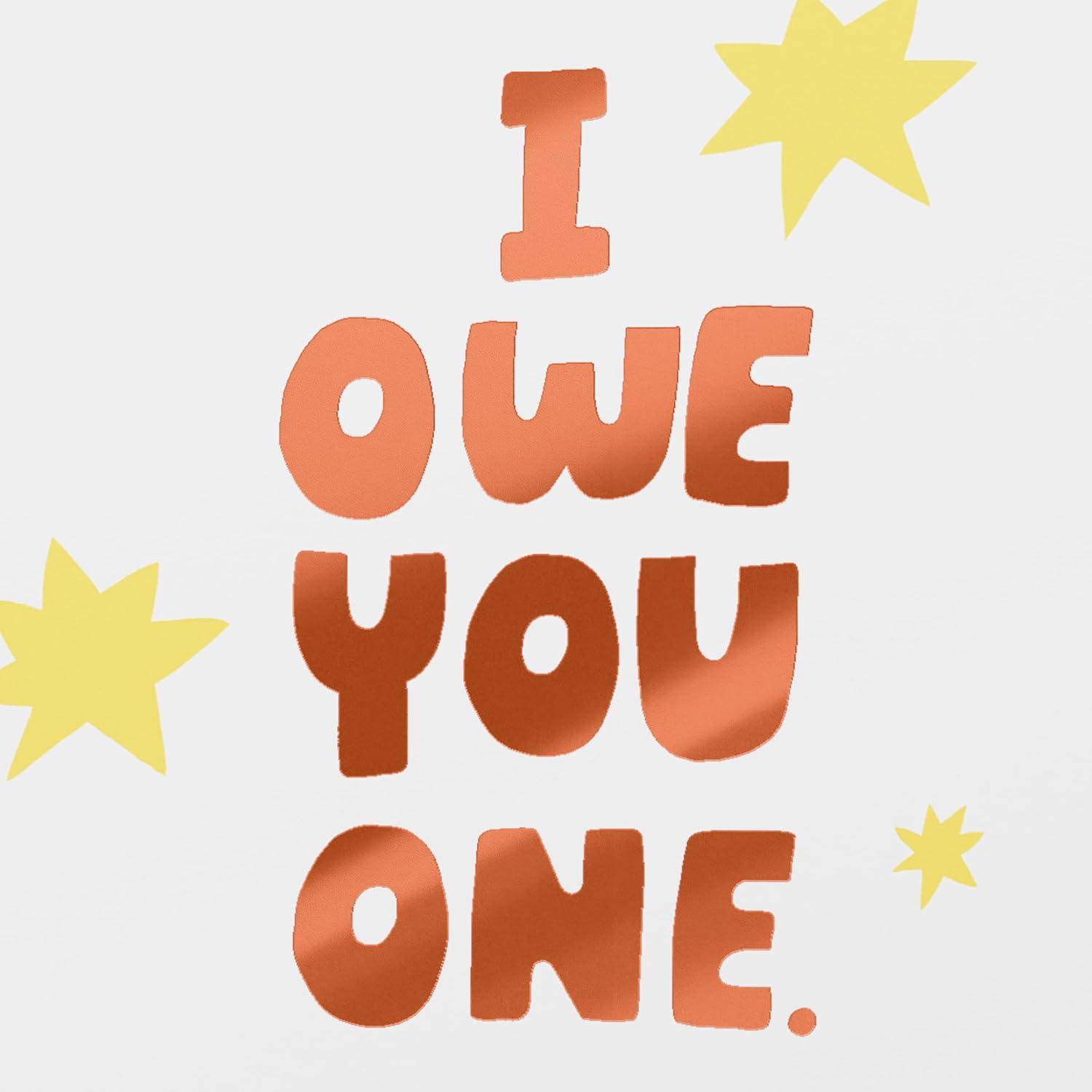 image:imageAmerican Greetings Funny Thank You Card Humorous Appreciation Card for Friends or Coworker Owe You