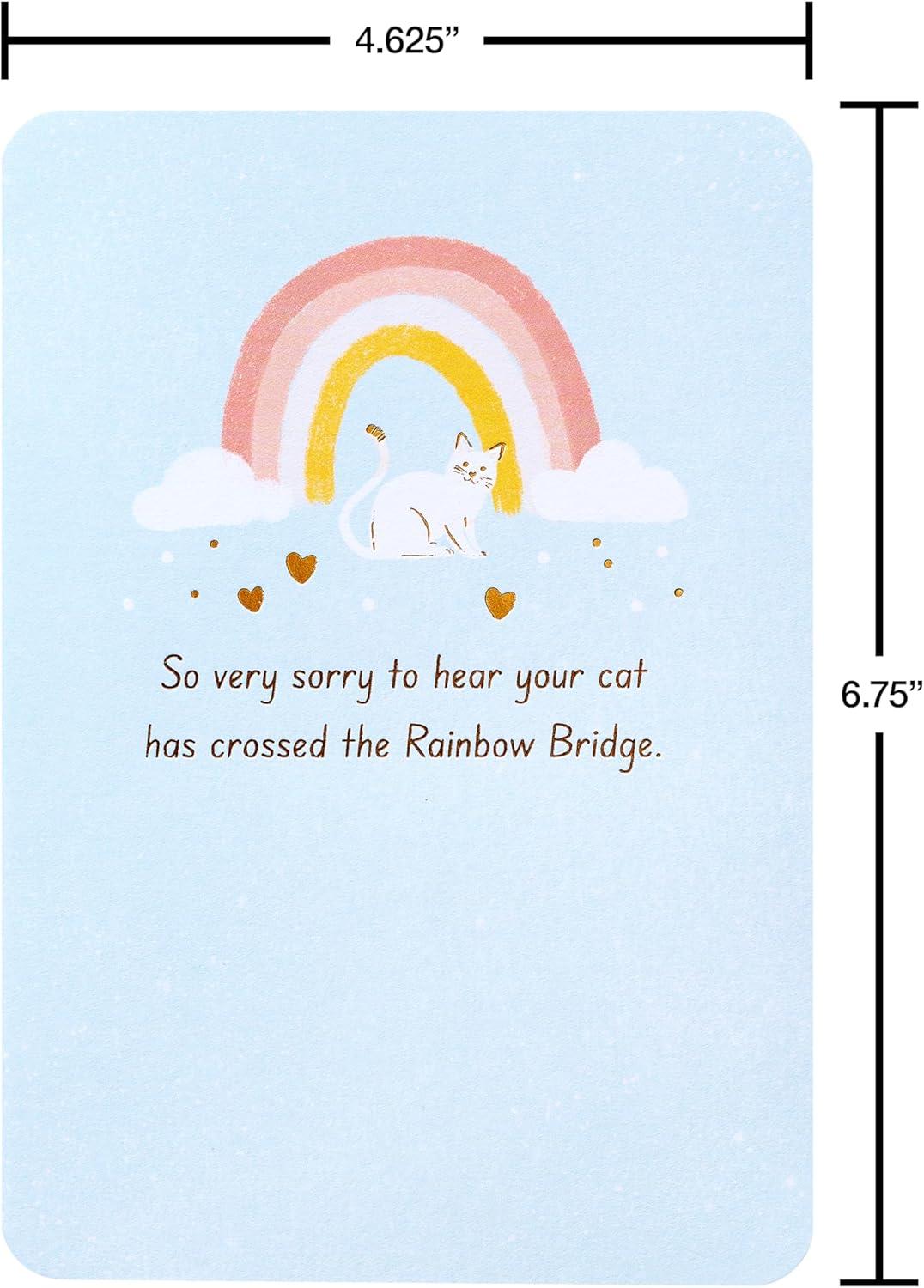image:imageAmerican Greetings Sympathy Card for Loss of Cat Peace and ComfortRainbow Cat