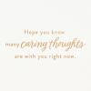 American Greetings Sympathy Card for Loss of Child (Thoughts are With You)(Branches With Lettering)