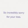 American Greetings Sympathy Card for Miscarriage (Incredibly Sorry)(Starry Night Sky w Ltg)