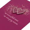 American Greetings Wedding Card for Two Brides (Such A Joy)(Two Incredible Women)