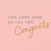American Greetings Wedding Card for Two Brides (Such A Joy)(Wives of the Party)