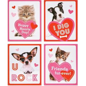American Greeting Lunch Box Mini Notes Pun Believable Valentines(Chiots et Chatons.)