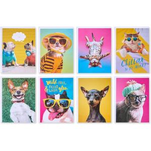 American Greetings Lot de 48 cartes vierges amusantes avec enveloppes pour toutes les occasions, chiens et chats(Chiens et chats)