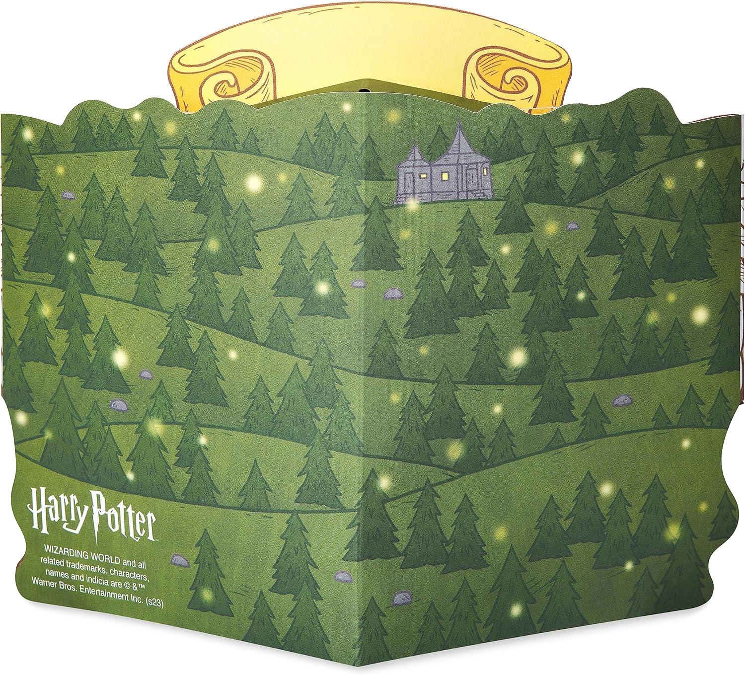 imageAmerican Greetings Carte danniversaire popup Harry Potter Quidditchwhite or cream