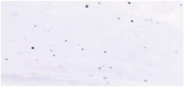 imageRayher 67273616 Papier de soie Mtallique orPaillettes Blanc