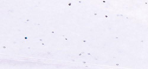 imageRayher 67273616 Papier de soie Mtallique orPaillettes Blanc