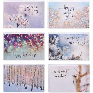 American Greetings Lot de 48 cartes de vacances Nature(Lot de cartes de vacances avec photos d&rsquo;hiver.)